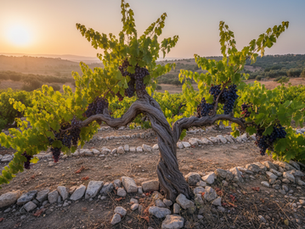 John 15 The True Vine Abiding in Christ for Fruitful Faith Joy and Love