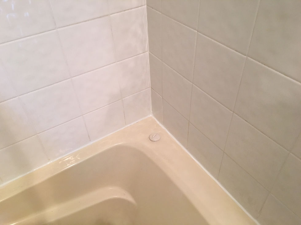 Mold Free Silicone Based Grout...