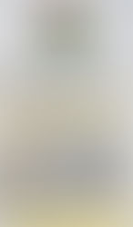 Kütüphanemizde OCAK ayı içerisinde uygulanan YKS Denemeleri