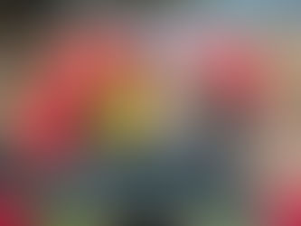 Tânia Lima é eleita vereadora em Cambará e faz história com campanha estratégica da Agência Visibe.