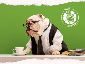 Balancing Feedback And Well-Being In Design