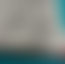 drawing of flowers and leaves in a journal