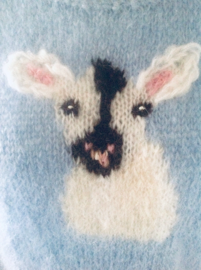 Blue Sweater Front Design