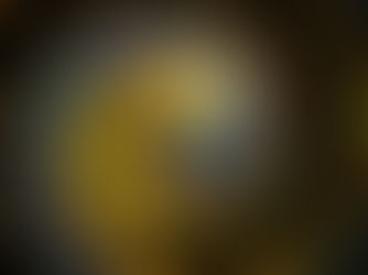 FORMATION MASSAGE TAO LYON, FORMATION MASSAGE TAOISTE LYON, STAGE MASSAGE TAO LYON.