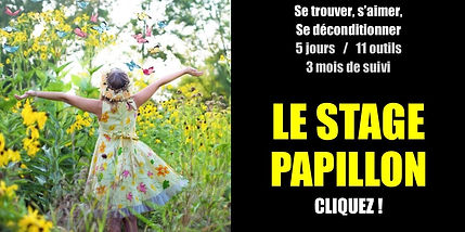 photo d'une petite fille avec des papillons pour le stage papillon