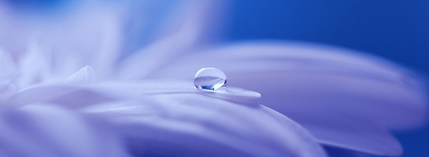 photo dans des bleus avec une goutte d'eau sur une feuille