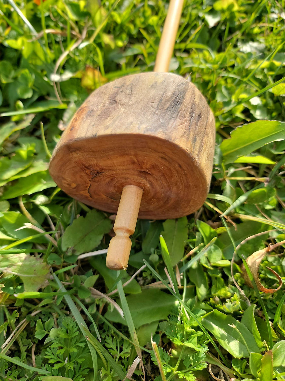 Thumbnail: Wyldespun Live edge drop Spindle on grass background
