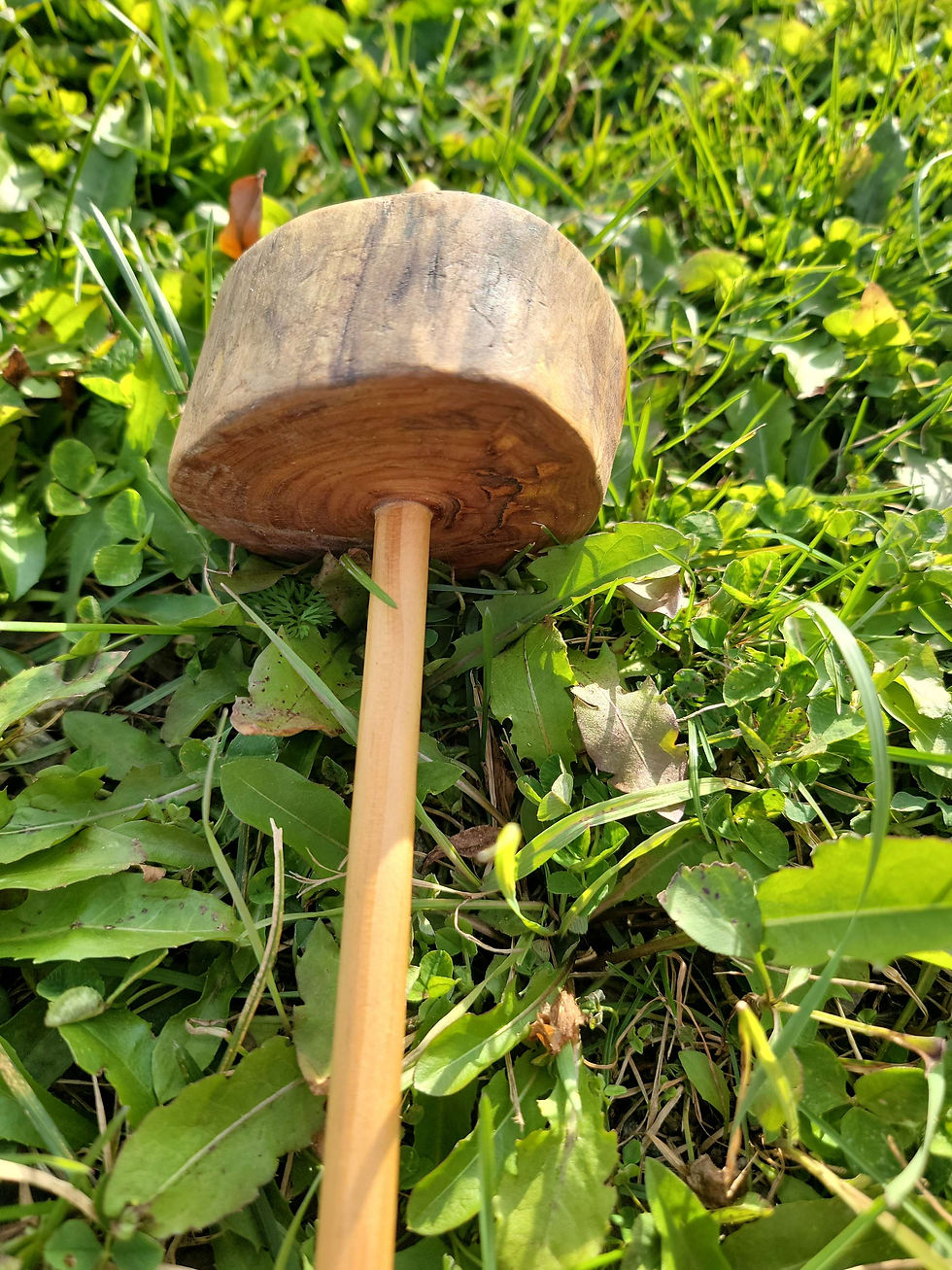 Thumbnail: Wyldespun Live edge drop Spindle on grass background