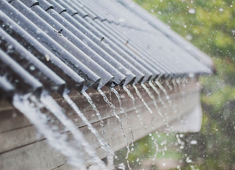 Récupérateur eau de pluie