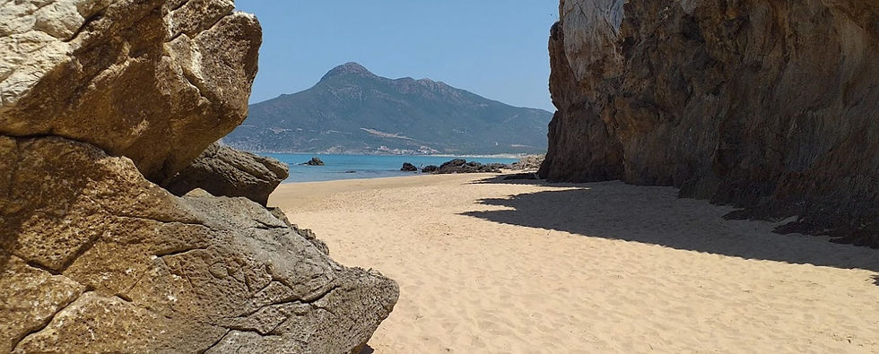 cala-del-balenottero.jpg
