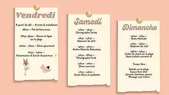 DANSE TA VIE LA RETRAITE.png