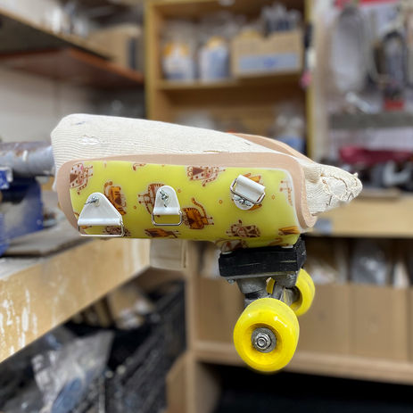 כסא גלגלים לחתול