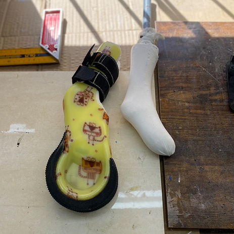 פורטזה של כלב ויציקת גבס לפי צורת הגדם של הכלב