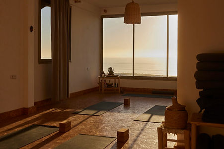 yoga-shala-klein-768x548.jpg