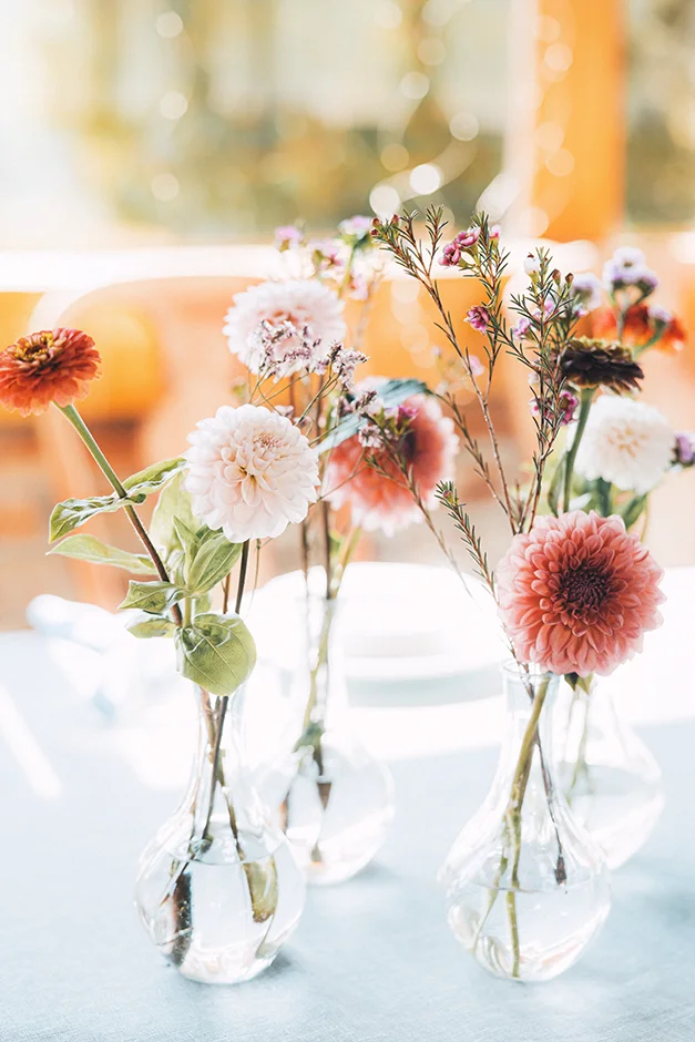 Ślub plenerowy z widokiem na jezioro śląsk, fotograf i kamerzysta
