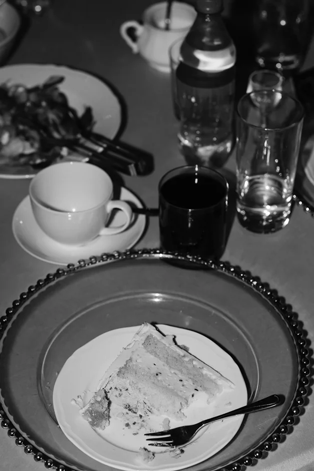 Fotograf, kamerzysta, sala weselna śląsk