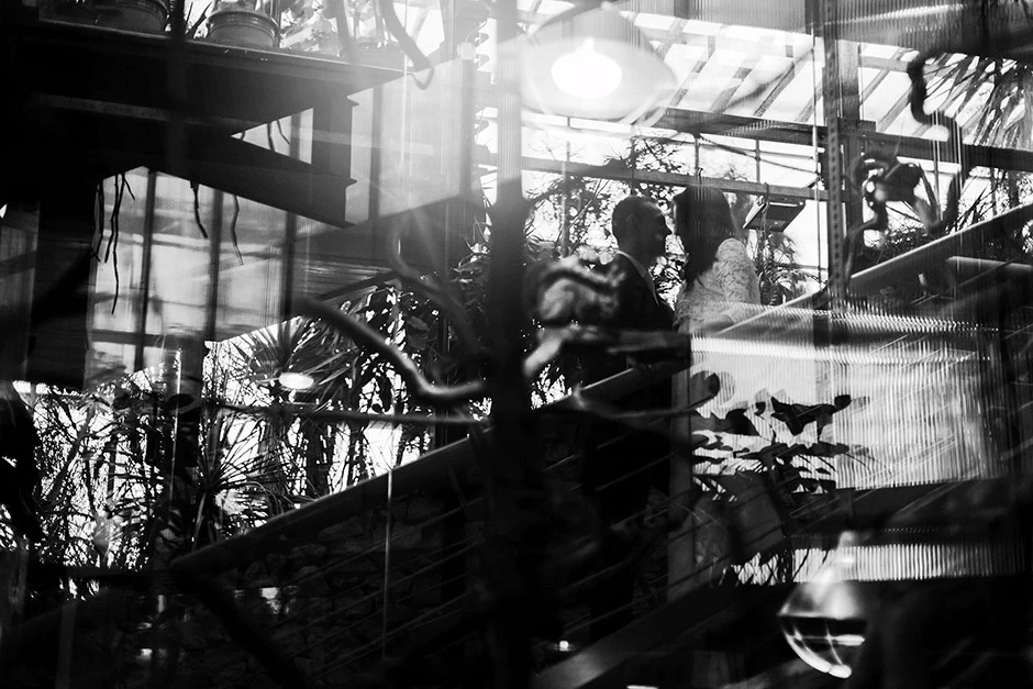 Sesja ślubna palmiarnia, sesja ślubna Gliwice, sesja ślubna palmiarnia Gliwice, fotograf Gliwice, fotograf ślubny Gliwice, sala weselna Gliwice