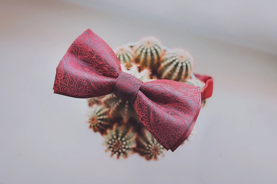 Wesele Leśna Perła, Wesele Leśna Perła Rudziniec, sala weselna Strzelce, sala weselna Kędzierzyn Koźle, sala weselna Gliwice, sala weselna śląsk, fotograf ślub Gliwice, fotograf ślub Śląsk, fotograf ślub Rybnik, fotograf ślub Stzrelce, fotograf ślub Tworóg, zespół na ślub Gliwice, zespół na Ślub Strzelce, zespół na ślub śląsk, dj ślub śląsk, dj ślub Radlin, dj ślub Strzelce, dj ślub Tworóg, dj ślub Pyskowice, fotograf Pyskowice