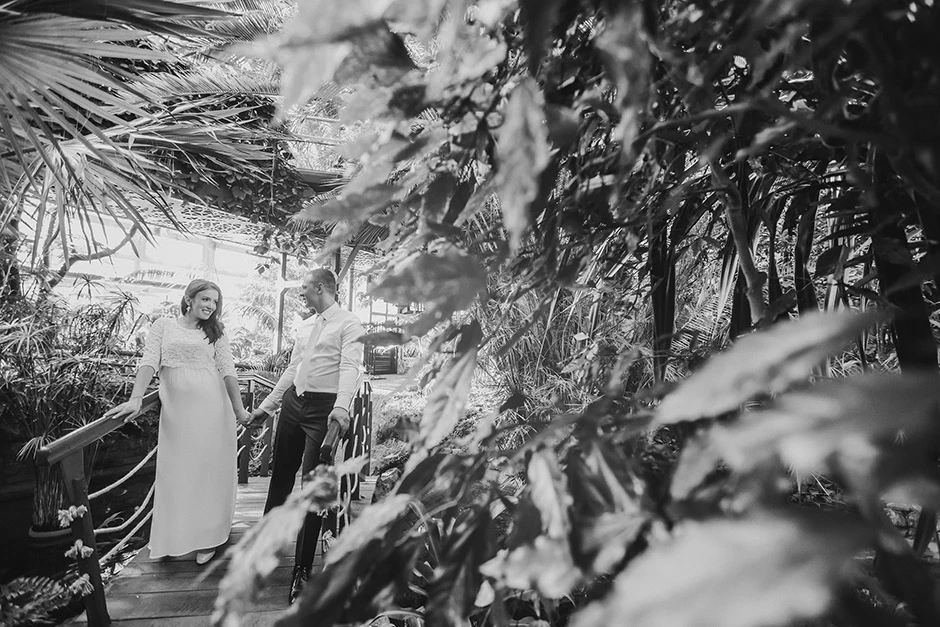 Sesja ślubna palmiarnia, sesja ślubna Gliwice, sesja ślubna palmiarnia Gliwice, fotograf Gliwice, fotograf ślubny Gliwice, sala weselna Gliwice