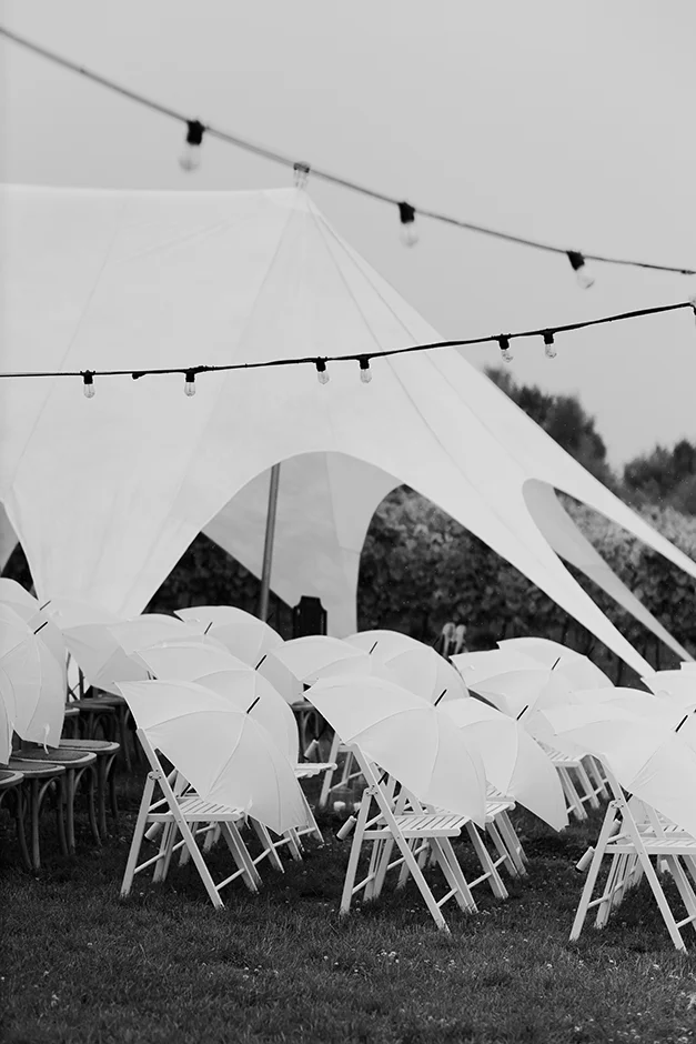 Plener ślubny w Winnicy, Ślub kościelny w plenerze, Winnica Jura, sala weselna, kamerzysta, fotograf, Kraków