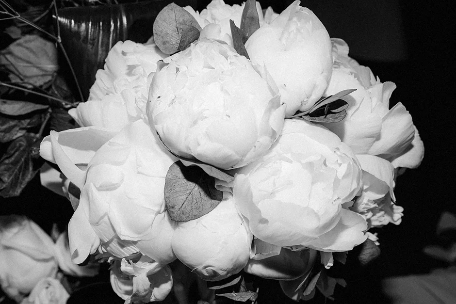 Rojanka Żory, fotograf Żory, Kamerzysta Żory