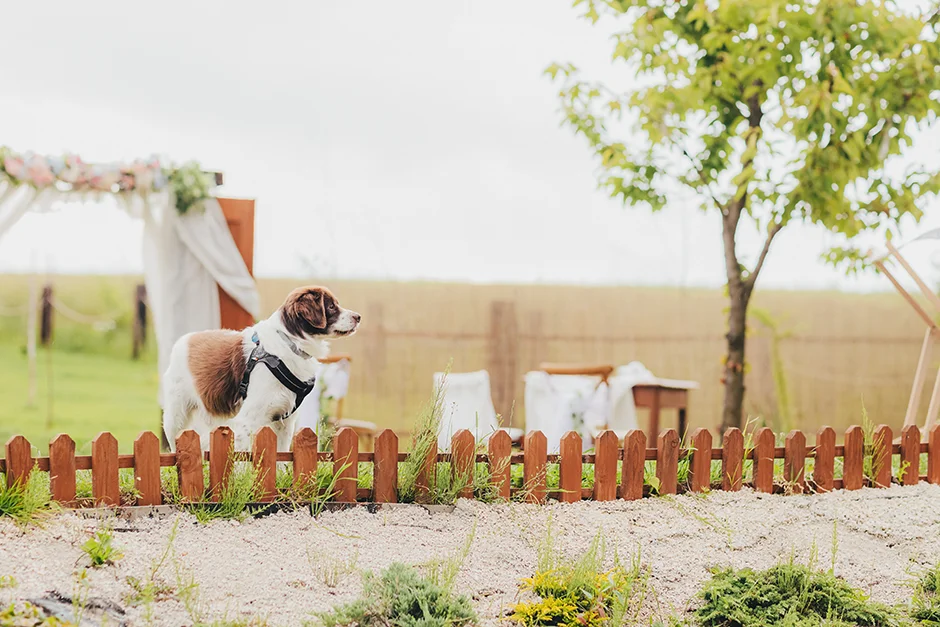 Fotograf Kraków, reportaż ślubny z sali weselnej w Małopolsce, styl rustykalny, kamerzysta, wedding content creator Kraków
