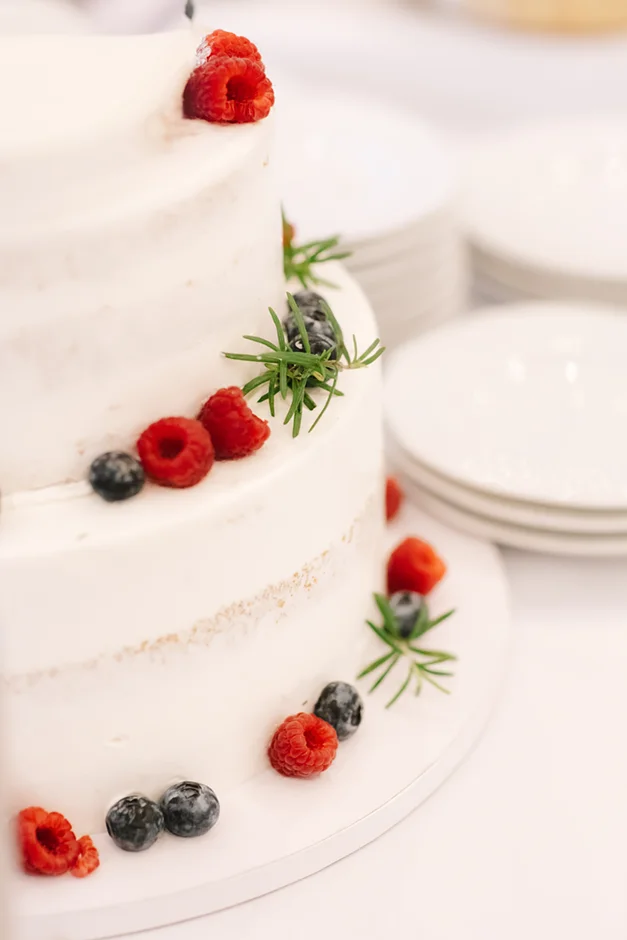 Fotograf śląsk, kamerzysta śląsk, sala weselna śląsk, Vill Marina, ślub cywilny