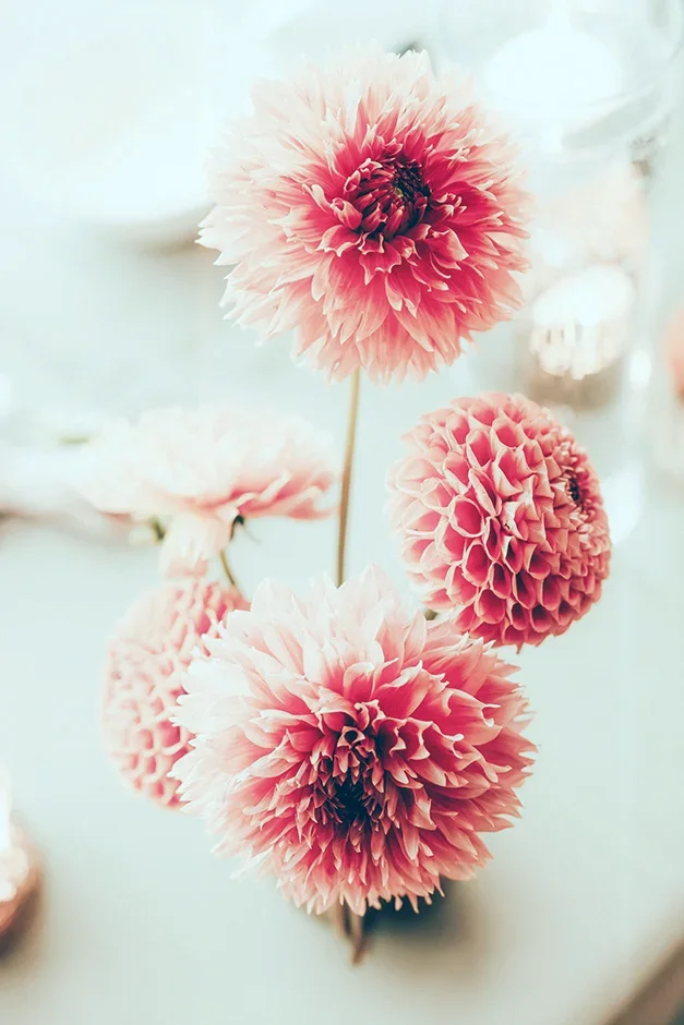 Plener ślubny w Winnicy, Ślub kościelny w plenerze, Winnica Jura, sala weselna, kamerzysta, fotograf, Kraków