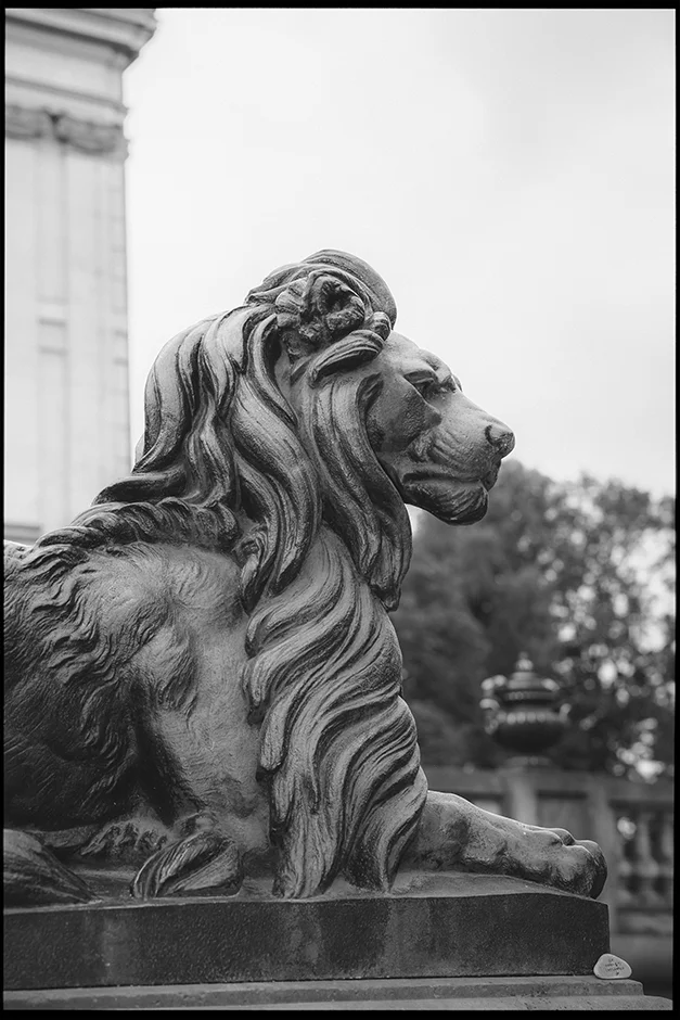 Sesja ślubna Pszczyna, fotograf Pszczyna, kamerzysta ślubny, 