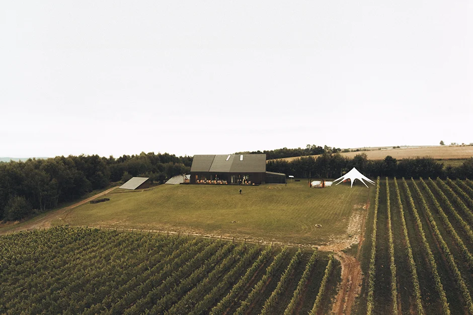 Plener ślubny w Winnicy, Ślub kościelny w plenerze, Winnica Jura, sala weselna, kamerzysta, fotograf, Kraków
