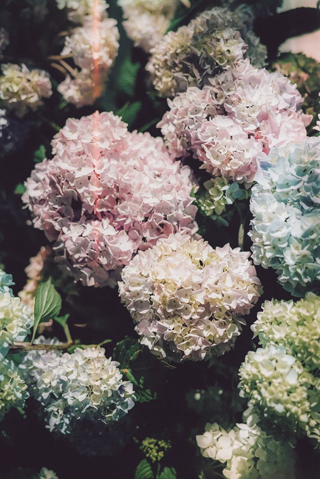 Fotograf Kraków, reportaż ślubny z sali weselnej w Małopolsce, styl rustykalny, kamerzysta, wedding content creator Kraków