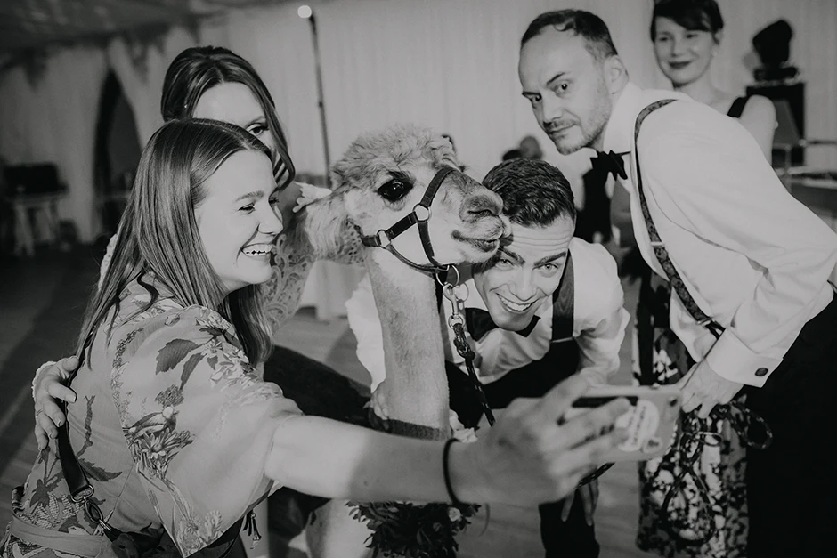 Ślub w plenerze Kraków, ślub humanistyczny Kraków, fotograf ślubny Kraków, wesele Ogród Brzoskwinia, sala weselna małopolskie, plener ślubny Morskie Oko, plener ślubny w górach, Crystal Palace, Sala Weselna Tiffany,  Pałac Goetz, Pałac pod Baranami, Dwór Sieraków, Stara zajezdnia Kraków, Cztery Kadry, Malachite Meadow, Marcin Orzolek