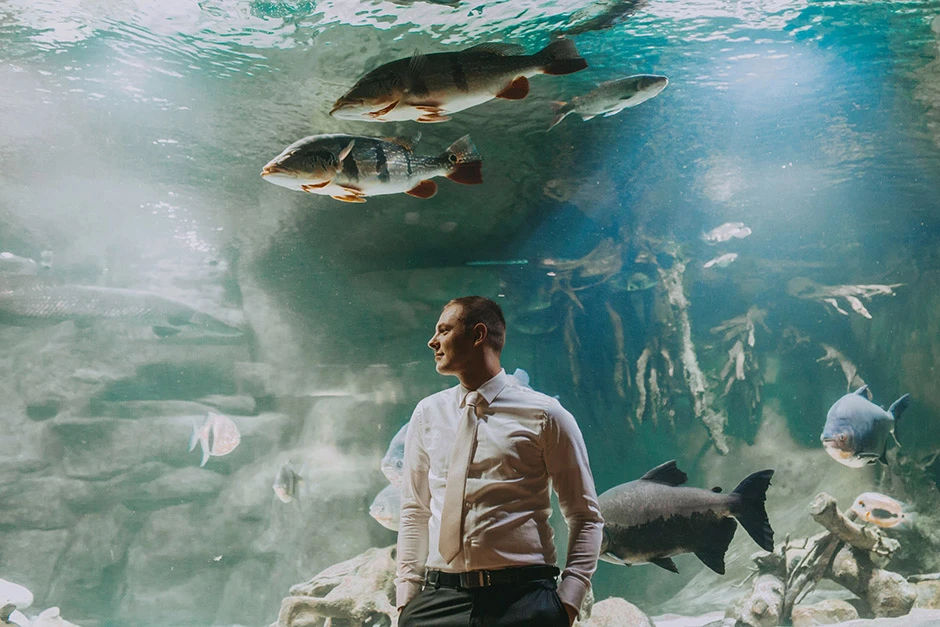 Sesja ślubna palmiarnia, sesja ślubna Gliwice, sesja ślubna palmiarnia Gliwice, fotograf Gliwice, fotograf ślubny Gliwice, sala weselna Gliwice