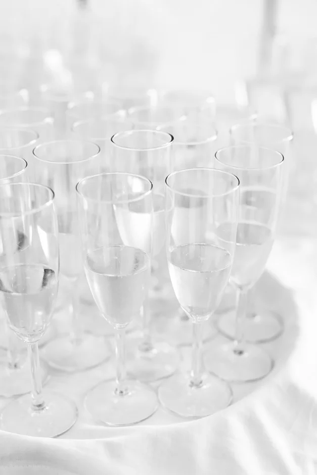 Fotograf śląsk, kamerzysta śląsk, sala weselna śląsk, Vill Marina, ślub cywilny