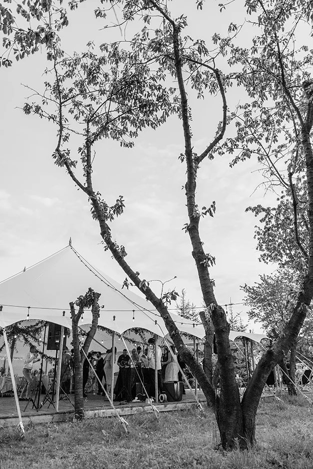 Arkadia Maciejówka, slow wedding, fotograf ślubny, kamerzysta na wesele, wedding contenet creator, sala weselna, wesele w plenerze, ślub w plenerze, 