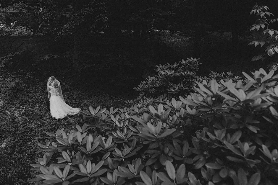 Sesja poślubna w parku