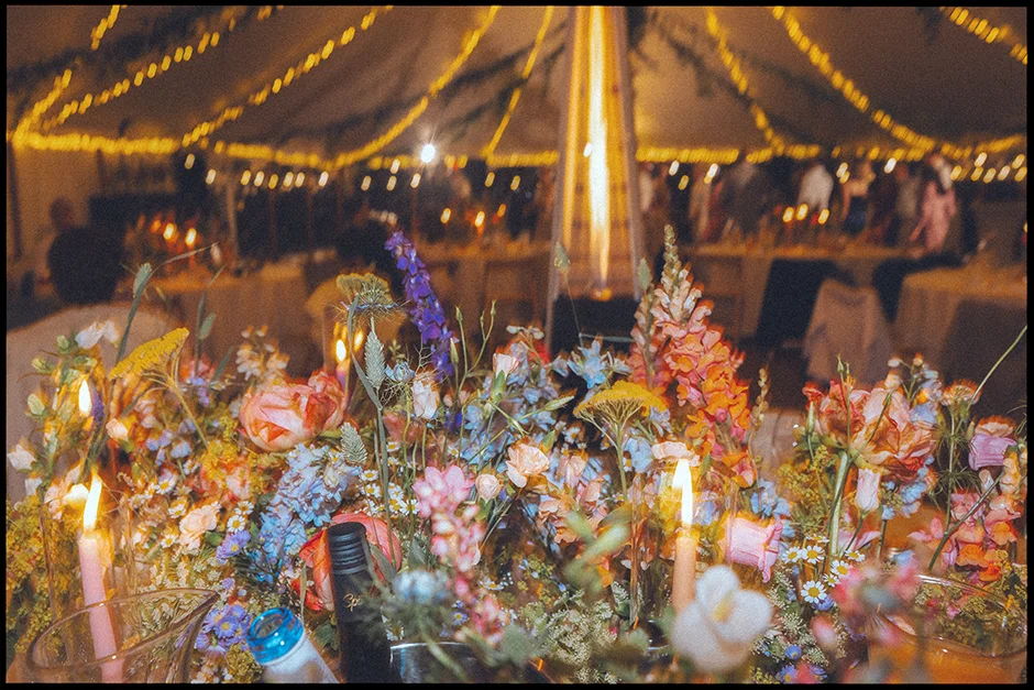 Arkadia Maciejówka, slow wedding, fotograf ślubny, kamerzysta na wesele, wedding contenet creator, sala weselna, wesele w plenerze, ślub w plenerze, 