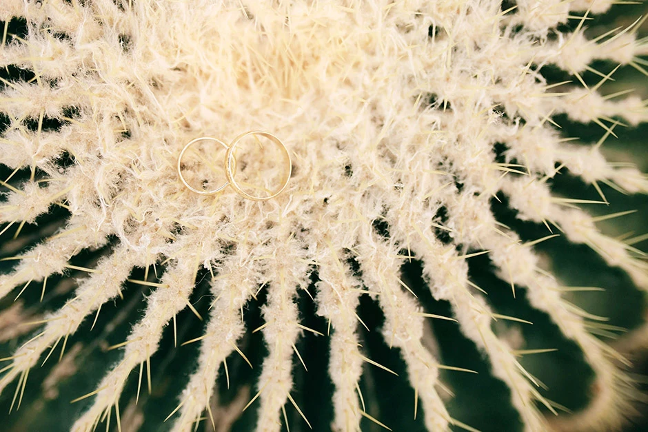 Sesja ślubna palmiarnia, sesja ślubna Gliwice, sesja ślubna palmiarnia Gliwice, fotograf Gliwice, fotograf ślubny Gliwice, sala weselna Gliwice