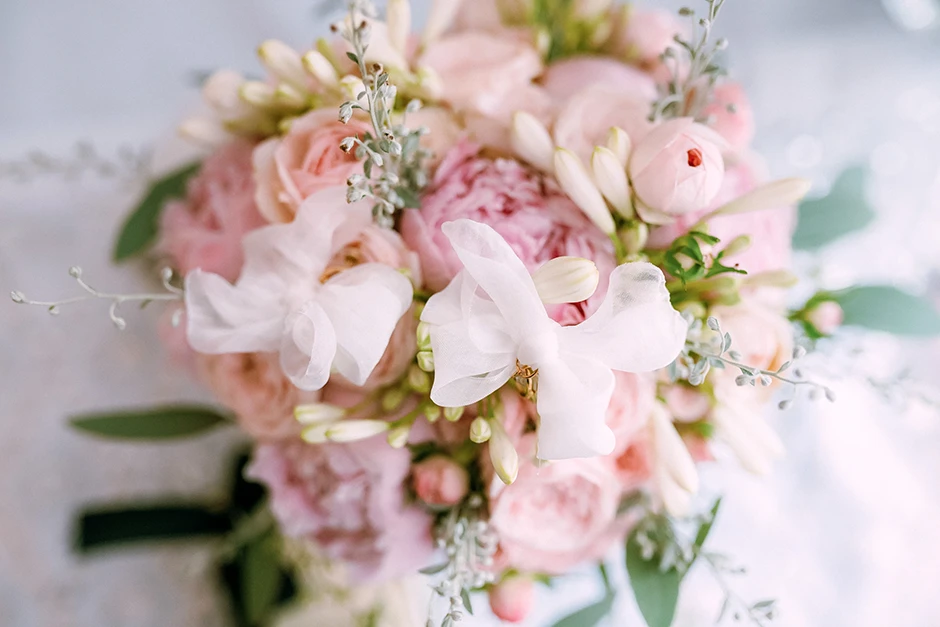 Sala Orchidea, Wesele Orchidea, Sala Bankietowa Orchidea, Zespół Fantazja, Plener ślubny Krowiarki, plener ślubny pałac w Krowiarkach, sesja Krowiarki, fotograf Częstochowa, fotograf Włoszczowa, fotograf Piotrków, fotograf ślubny Częstochowa, sala weselna Włoszczowa, sala weselna Częstochowa, sala weselna Radomsko, fotograf Radomsko