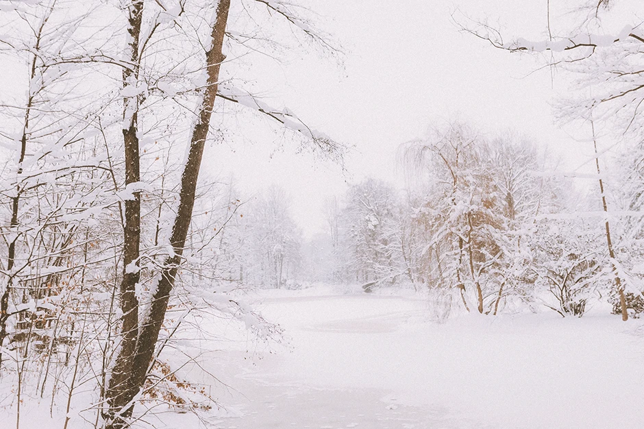 Ślub w zimie, fotograf Tychy, kamerzysta Tychy, fotograf śląskie, kamerzysta śląskie, Sala weselna Tychy, dj Tychy, zespół weselny Tychy,