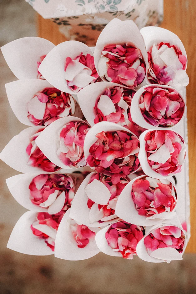 Fotograf Częstochowa. kamerzysta Częstochowa