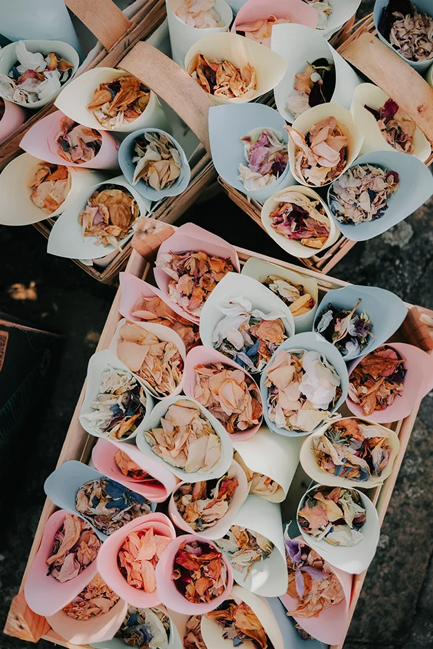 Ślub plenerowy z widokiem na jezioro śląsk, fotograf i kamerzysta