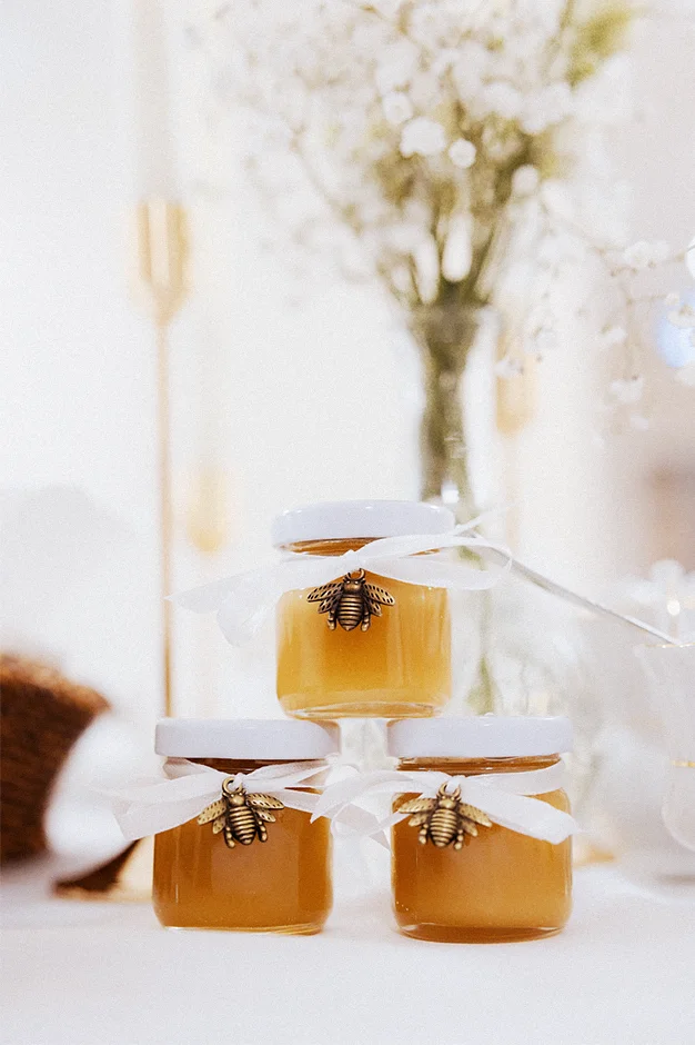 Rojanka Żory, fotograf Żory, Kamerzysta Żory