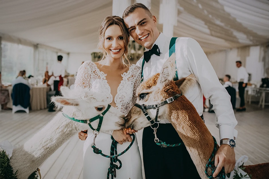 Ślub w plenerze Kraków, ślub humanistyczny Kraków, fotograf ślubny Kraków, wesele Ogród Brzoskwinia, sala weselna małopolskie, plener ślubny Morskie Oko, plener ślubny w górach, Crystal Palace, Sala Weselna Tiffany,  Pałac Goetz, Pałac pod Baranami, Dwór Sieraków, Stara zajezdnia Kraków, Cztery Kadry, Malachite Meadow, Marcin Orzolek
