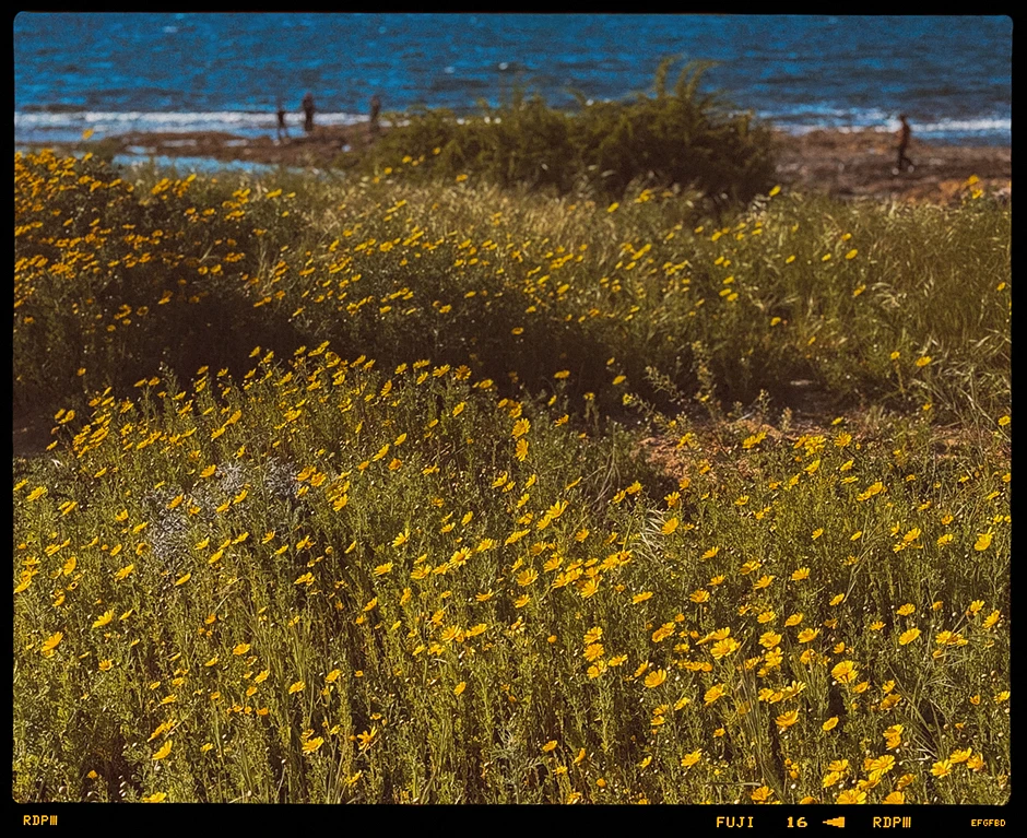 Pafos, Cypr, fotografia podróżnicza, fotograf na wakacjach, relacja z wyjazdu