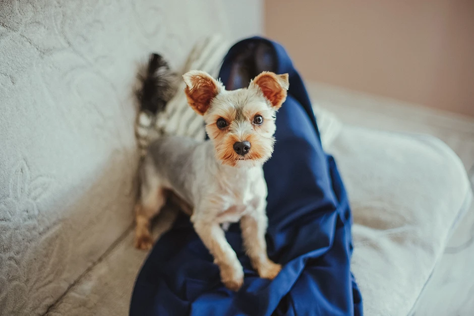 Tytan Kochanowice, wesele Tytan Kochanowice, ślub Kochanowice, Fotograf Kochanowice, fotograf Lubliniec, fotograf Blachownia, sala weselna Lubliniec, sala weselna Kochanowice, sala weselna Dobrodzień, fotograf Dobrodzień, fotograf Herby, fotograf Częstochowa