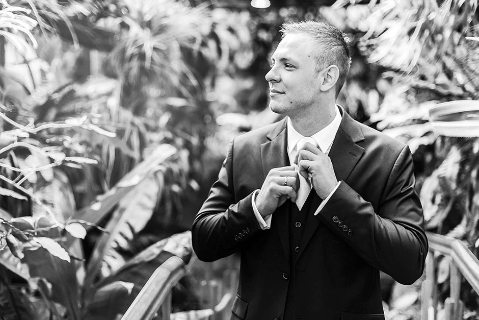 Sesja ślubna palmiarnia, sesja ślubna Gliwice, sesja ślubna palmiarnia Gliwice, fotograf Gliwice, fotograf ślubny Gliwice, sala weselna Gliwice