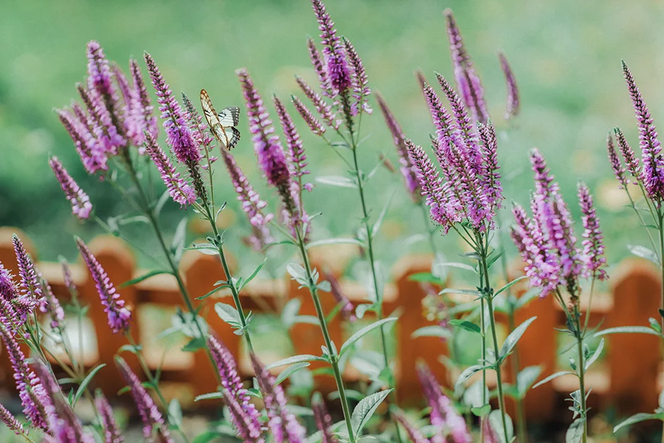 Fotograf Kraków, reportaż ślubny z sali weselnej w Małopolsce, styl rustykalny, kamerzysta, wedding content creator Kraków