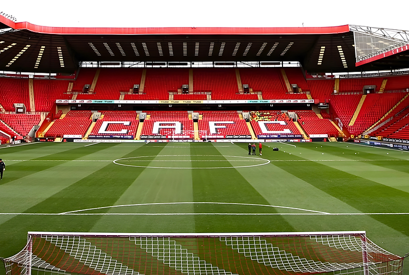 Charlton Athletic Football Club Goal