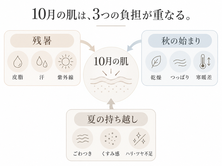 10月の肌、3つの負担解析.png